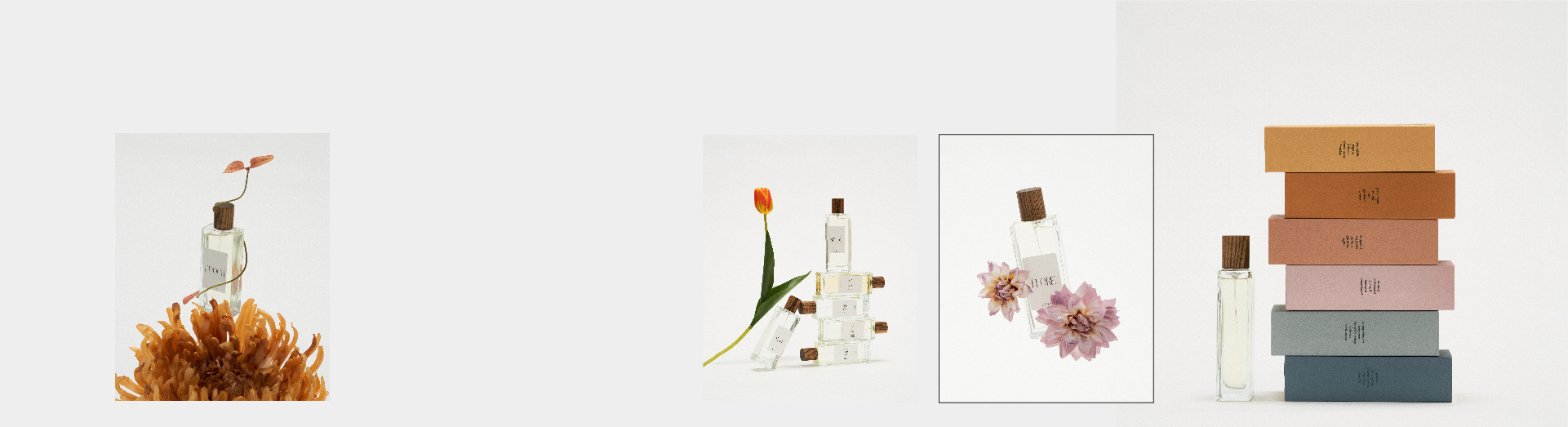 Perfumes Online de mujer hombre | Etnia Cosmetics